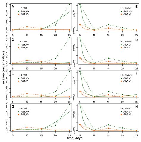 Life | Free Full-Text | Modeling the Flowering Activation Motif during Vernalization in Legumes ...