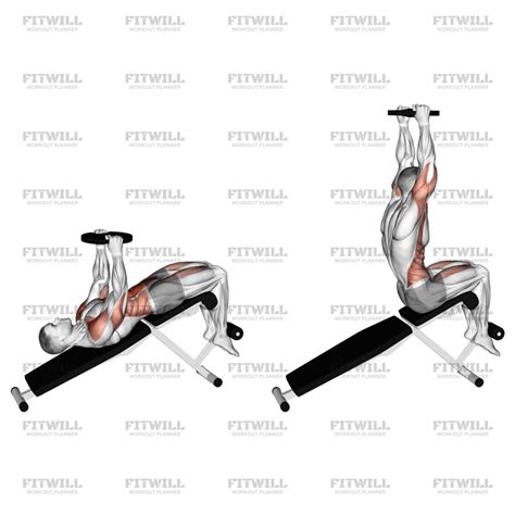 Weighted Decline Sit-up: Exercise Guide, Video, Techniques, Benefits ...