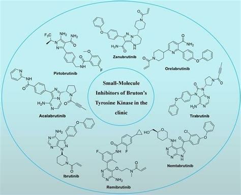 A Comprehensive Review of Small-Molecule Inhibitors Targeting Bruton ...