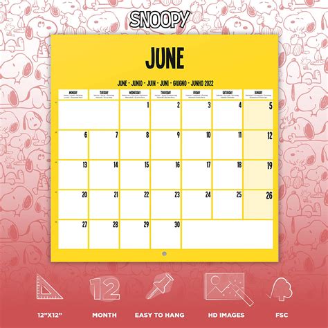 Buy Official Snoopy 2022 Wall Calendar, 2022 Calendar, 12" x 12" Square ...