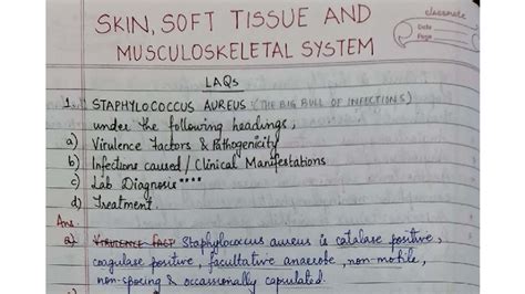SST & MSS H.A.Q Answers: Staphylococcus & Streptococcus Overview - Studocu