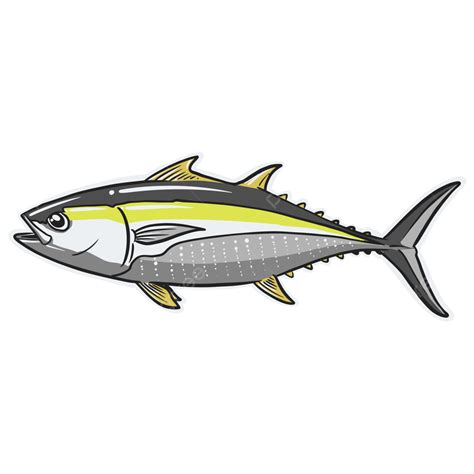 What Is Albacore