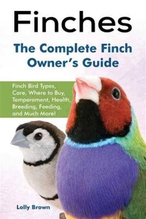Buy Finches: Finch Bird Types, Care, Where to Buy, Temperament, Health ...