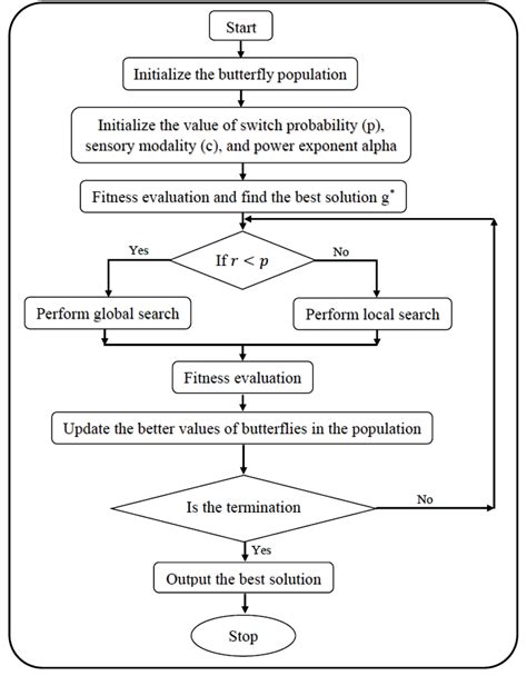 Image result for Butterfly Optimization Algorithm Tutorial