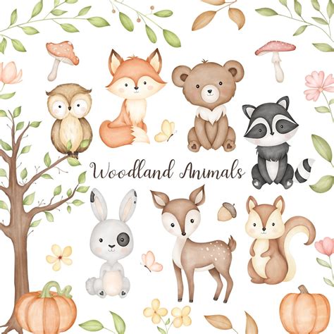 Woodland Animals Clipart Cute Baby Animals Clipart PNG - Etsy