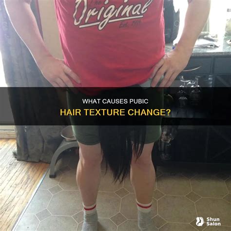 What Causes Pubic Hair Texture Change? | ShunSalon