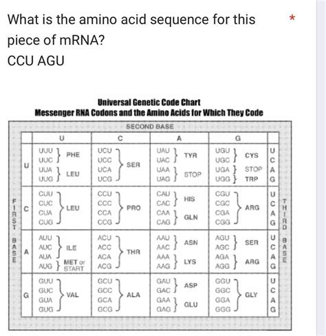 Solved: What is the amino acid sequence for this * piece of mRNA? CCU ...
