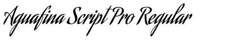 Image result for Dynamic Hash in Python