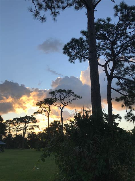 Wickham Park Campground | Melbourne, Florida