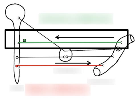 Image result for Somatic Nervous System Graphics