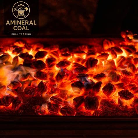 perusahaan tambang batubara di denpasar - Bangkitin