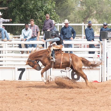 Rodeo In North Carolina 2022 at Aaron Copeley blog