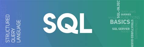 Begin Tran SQL Server 的图像结果