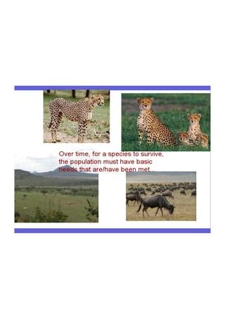 Flow Chart of Binary Evolution 的图像结果