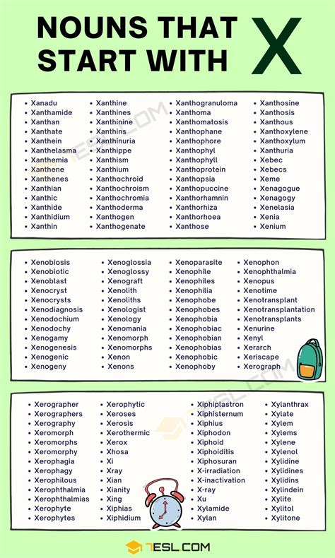 197 Examples of Nouns that Start with X in English • 7ESL