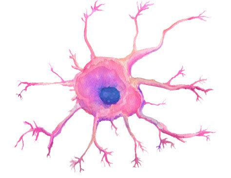 Dendritic Pattern 的图像结果