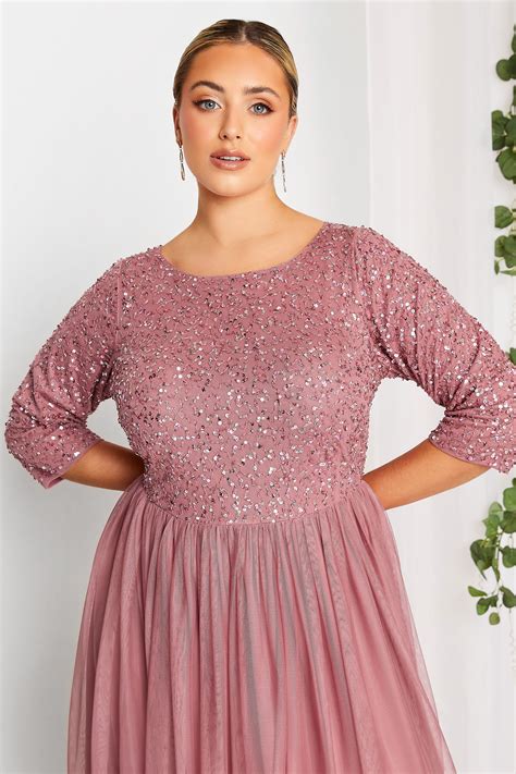 LUXE Plus Size Dark Pink Sequin Hand Embellished Maxi Dress | Yours ...