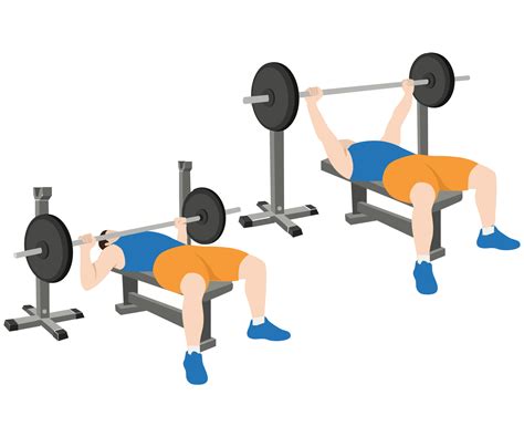 Flat Bench Barbell Press