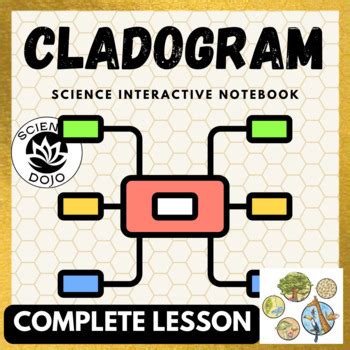 Image result for Building a Cladogram Activity