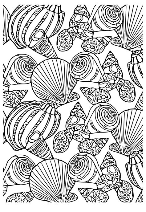 Image result for Sea Shells Coloring