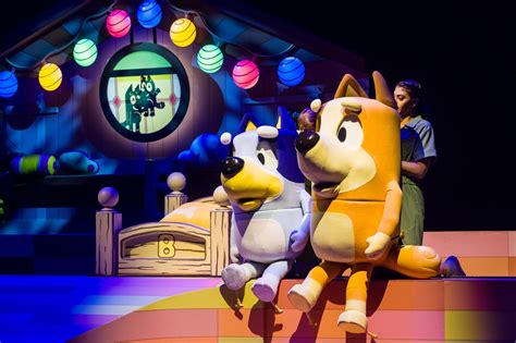 Bluey's Big Play Coming to South Africa - Durbanite