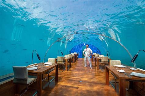 Ithaa Undersea Restaurant In Maldives: Underwater Dining