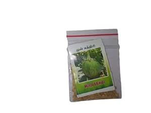 Krishna Seeds Generic Seeds Pack of 1 Mullu brinjal : Amazon.in: Garden ...