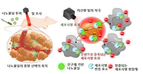 Image result for Problem Formulation Process