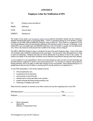 Sts Notification Letter - Fill and Sign Printable Template Online