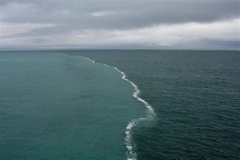 Activating Thoughts: Gulf of Alaska-Where Two Oceans Meet