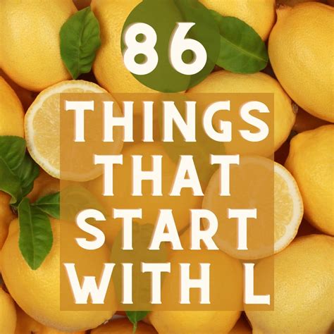 86 Lexicon Things that start with L - Approaching Home