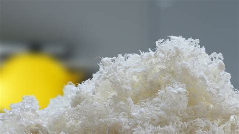 Image result for Eucalyplus Pulp