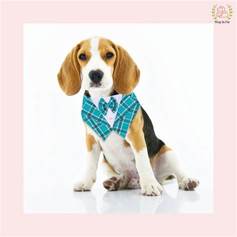 Shop Sky Vest Tuxedo Dog Bandana |Online Bandana for Dogs – Wrapinfur