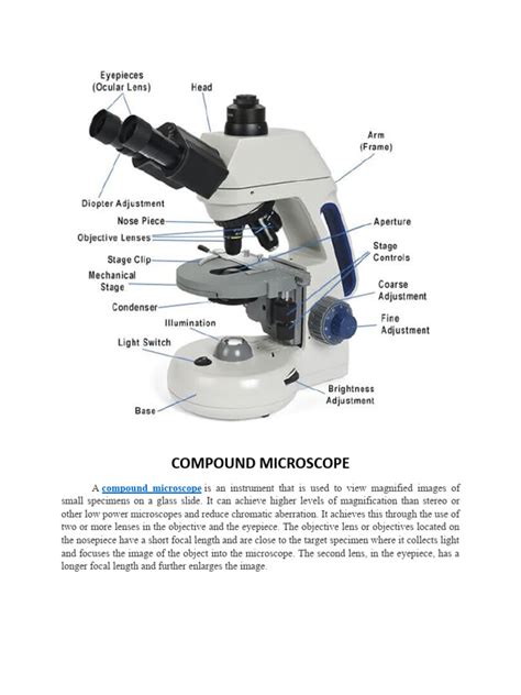 Image result for Compoud Microscope Study Guide