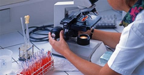 Salute / Gli Pfas si accumulano nel sangue e nel fegato - Il Sole 24 ORE