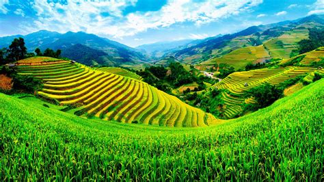 Image result for What Is Spring in Java
