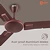 Orient Electric 1200mm Apex Cruise Ceiling Fan for Home | BEE 1 Star ...