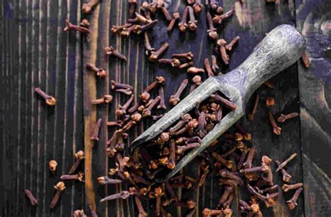 Can drinking clove water help kill stomach worms? - THIP Media