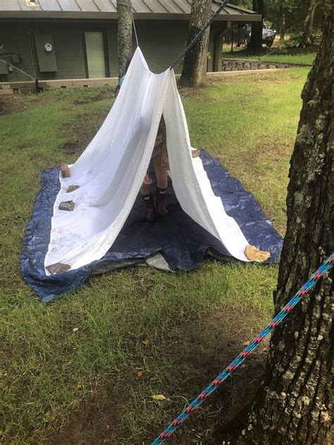 Washing Tree Activities 的图像结果