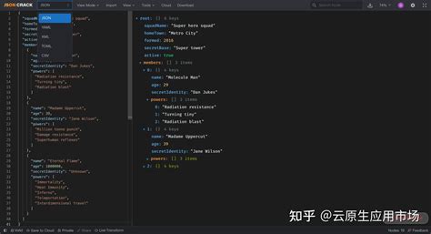 Image result for JSON Plus