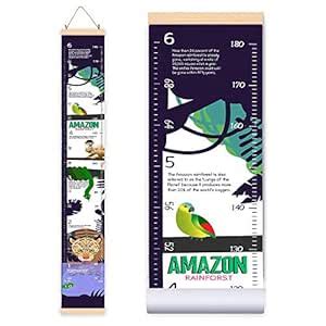 Buy Height Growth Chart for Kids Amazon Rainforest - Baby Measuring ...