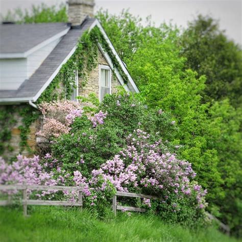 From Foto to Fainting... er, I mean Photo to Painting ~ In Person, 155 ...