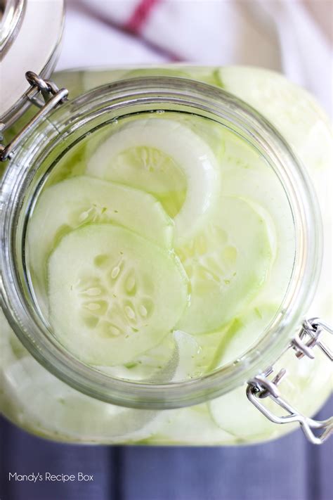 Cucumber Preserved In Brine And Vinegar at Kate Terry blog