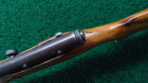 Image result for Springfield Model 87A Schematic