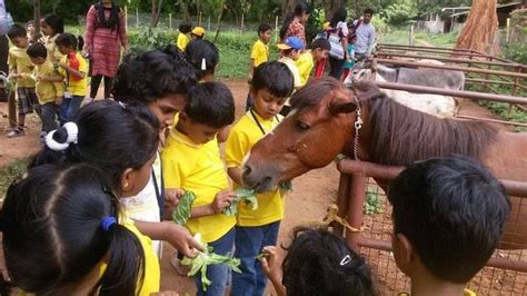 Gallery | Golden Arch Montessori School