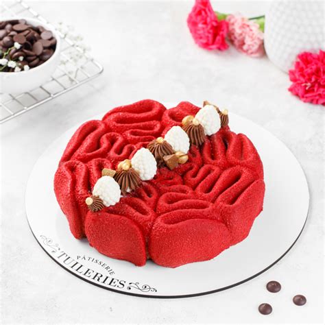 SUGAR FREE : Belgian Chocolate & Mixed Berries Entremet (1000 grams ...