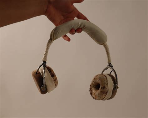 Locus Bug Sound 的图像结果