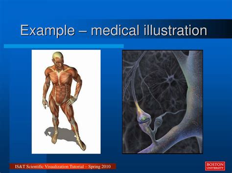Scientific Visualization Computer Science Jobs 的图像结果