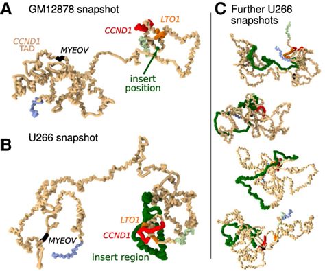 Intact Protein Deconvolution Chromeleon 的图像结果
