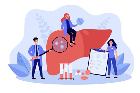 Image result for Liver Function Labs